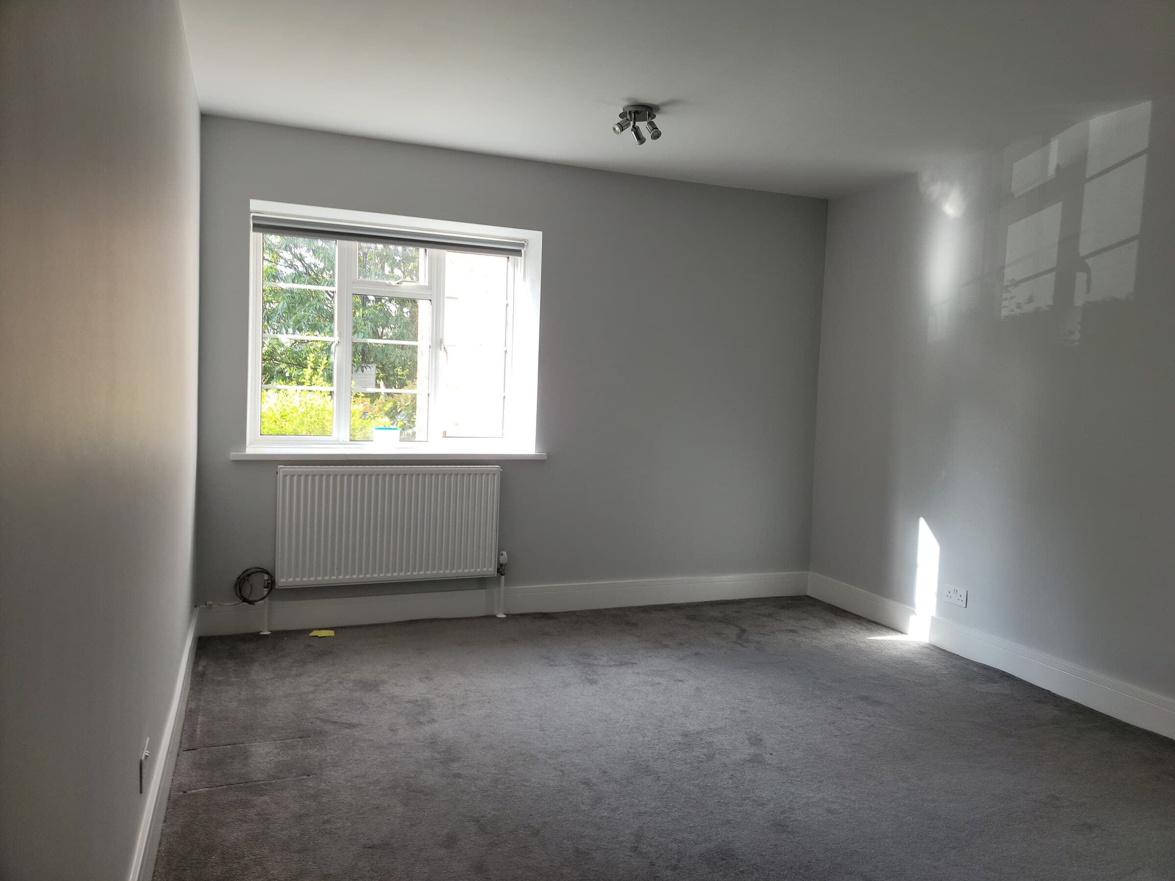 Interior Painting project by BGDecorators
